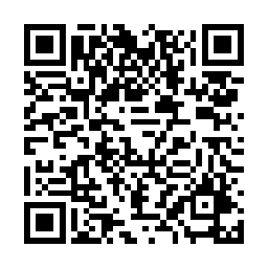 这些影象被云萱用特殊手段全部映射在密闭空间里二维码生成