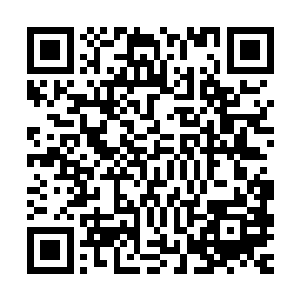 这些微生物一样的小生命也的确把它当成一颗特殊的星球来看待二维码生成