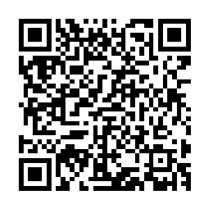 这些怪物喜欢凭借超低空飞行能力和锋锐的爪子在人群中穿梭二维码生成