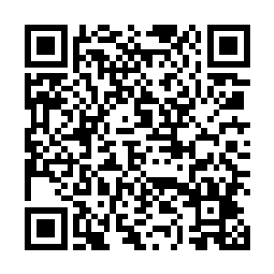 这些恐怖分子的反应和这里的设施完全跟偷猎者不沾边二维码生成