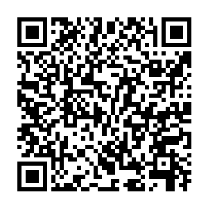 这些成员忽然十分的后悔当初为什么要选择来对付青山书院的学生了二维码生成