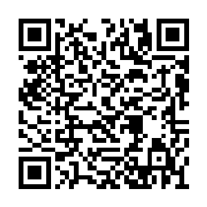 这些执事知道有小女孩在他们肯定是不敢竞争的二维码生成