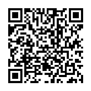 这些执念依附在一些妖兽甚至于是弱小的龙族身上二维码生成