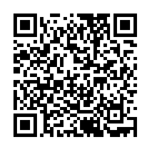 这些护卫都是从烈焰佣兵团中挑选出来的精英人员二维码生成