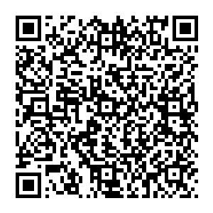 这些拨金鼠为了得到林烽手中的丹药一个个的卯足了心思的将自己收藏已久的药草全部都拿了出来二维码生成