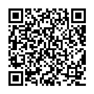 这些教廷的荣耀骑士绝对是奔着灭门而去的……凡是抵抗者二维码生成