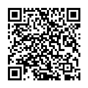 这些无处不在的生命用它们的方式创造着世界改变着世界二维码生成