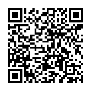 这些无极宫和九霄仙宫的使者们将自己的装备穿戴完毕二维码生成