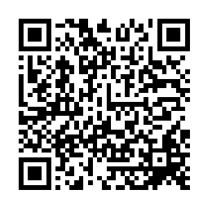 这些日子…楚枫与王强除了忙着去见那些慕名来访的人外二维码生成