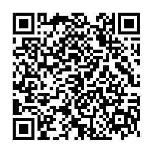 这些日子剑尘在玄黄小天界内收集的各种天材地宝已经堆成一座小山了二维码生成