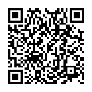 这些日子来也跟着林铭的父母学了一些做菜手艺二维码生成