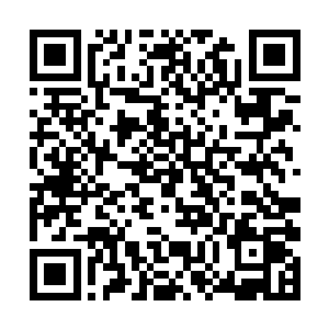 这些日子胥尔升跟胥宁他们在乔宅也跟慕烟说了不少二维码生成
