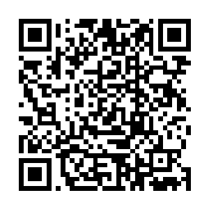 这些时灵兽很可能是一位远古时代陨落的大人物神念所化二维码生成
