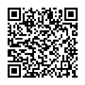 这些普通的新人都是挑选去做最低等的基础门人二维码生成