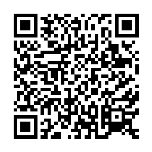 这些晶体就存在于生命古树的根系中……只要剖开了根系枝蔓二维码生成
