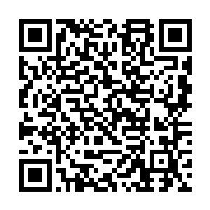 这些暗影堂的弟子和很多权贵人家训练的死士差不多二维码生成