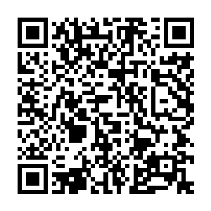 这些更早轮回许多年的人是不是花了漫长的光阴来筹划如何杀死她二维码生成