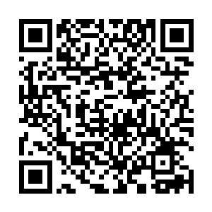 这些曼联的球员们呆呆地看着正在庆祝胜利的曼城球员二维码生成