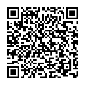 这些条约……为西格玛成为白露星最大幼儿园园长奠定了……比较坚实的基础二维码生成