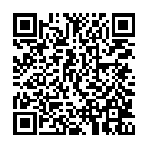 这些来自男人身体里的气息在她的耳廓里盘旋着二维码生成