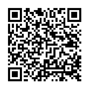 这些根本来不及逃出多远的随军强者也纷纷被那些源源不断二维码生成