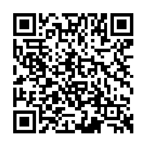 这些梦魇凶兽以昔日星空异族的庞大身躯为基础二维码生成