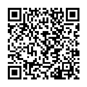 这些植物纤维浆在和粉碎后的煤渣煤沙混合起来之后二维码生成