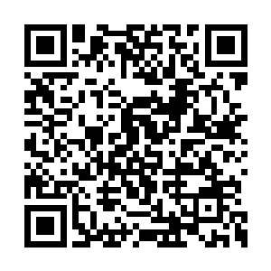 这些模特是从安琪给她的无数模特中挑选出来的二维码生成