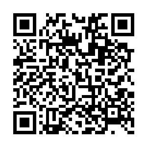 这些死士恐怕都是常年服用蜀地之中的一种奇药二维码生成