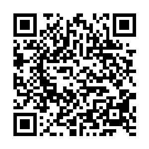 这些水渠之中流淌着的不是其他东西而是类似血液的红色液体二维码生成
