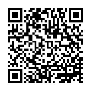 这些沉珂墨莲已经具备了从沉疴墨莲向沉疴玉莲转变的资格二维码生成