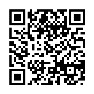 这些流浪狗看起来似乎很有组织的样子二维码生成
