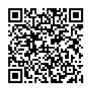 这些浮影记录的都是通天塔一些试炼者交手的情景二维码生成