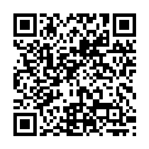 这些海兽跟龙傲天上次消灭的那只海兽不知道差了多少二维码生成