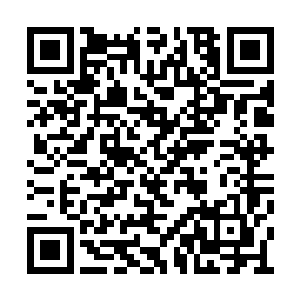 这些消息由妖府弟子和浮屠宫弟子传回各自宗门二维码生成