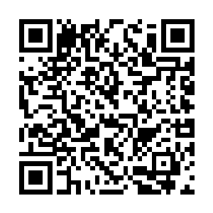 这些消息都是他通过审问刀疤脸的那些小弟知道的二维码生成