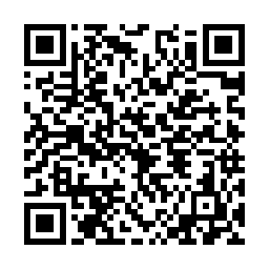 这些混蛋就是记打不记疼――他们骨子里天生犯贱二维码生成