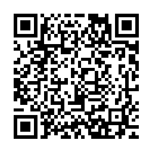 这些漏网之鱼和勘察的人员也全都是被夏天他们这些人全部灭杀二维码生成