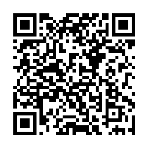 这些灰白色的斑纹竟然就像是某种霉菌或者病毒一样二维码生成