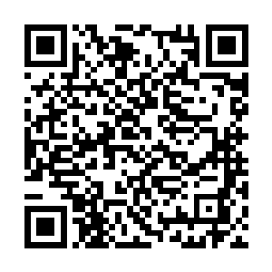 这些灵兽遇到人类武者一般都是不会轻易放过他们二维码生成