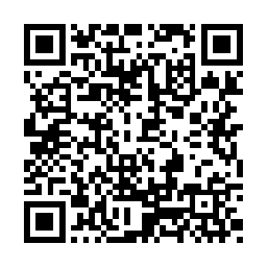 这些灵草药的价值也在他的心中有了一定的衡量二维码生成