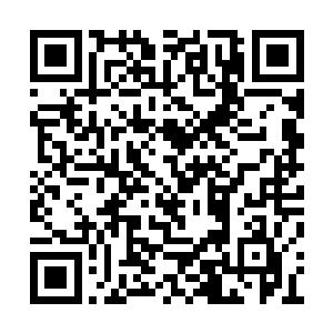 这些灵风羽毛和火焰羽毛如同失去了将领的士兵二维码生成