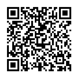 这些灵魂出现的第一件事情就是把现任的百族族长大骂了一遍二维码生成