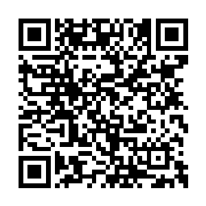这些烈士的遗骨是上面的祭司大人下命令收集的二维码生成