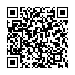 这些现在已经成妮娜一时半会戒不掉的小乐趣了二维码生成