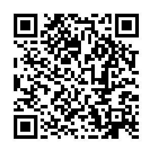 这些生存在岩浆之中的东西源源不断的朝着这边赶了过来二维码生成