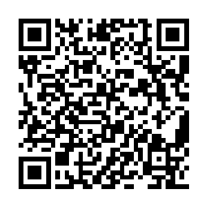 这些画面中有一个小女孩将娇嫩的鸡腿让给男孩二维码生成