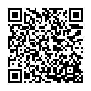 这些病毒一般疯狂生长的魔界植物在数万年就已经绝迹了二维码生成