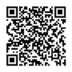 这些瘴气弥漫在整个森林之中让这里的可视距离很短二维码生成