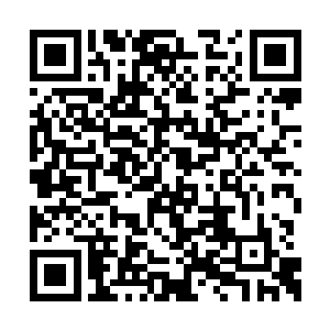 这些百劫境修为的高手本不应该引起他人的注意二维码生成